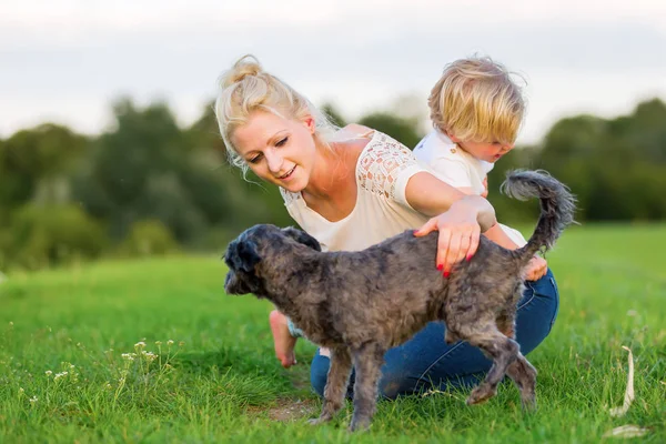 Mulher brinca com seu filho e dois cães pequenos — Fotografia de Stock