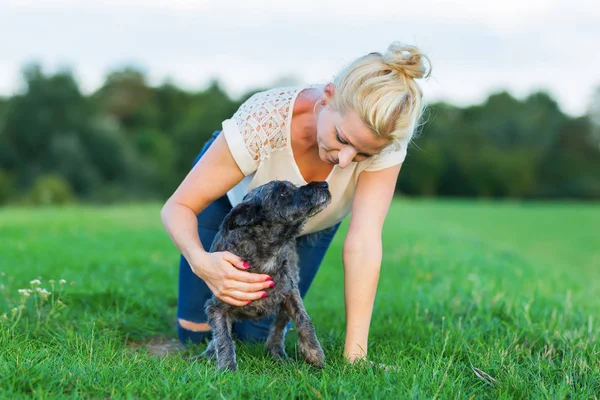 Mujer juega con un perro híbrido terrier en un prado — Foto de Stock
