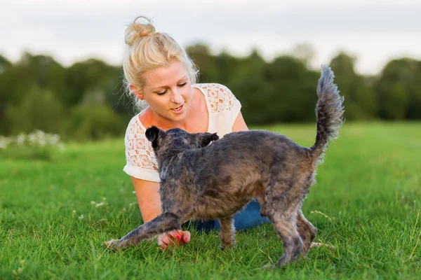 Mulher brinca com um cão híbrido terrier em um prado — Fotografia de Stock