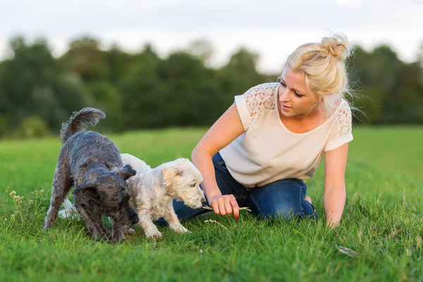 kadın onun iki küçük köpek çim ile çalış