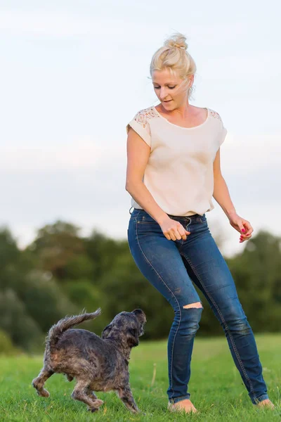 Mulher brinca com um cão híbrido terrier em um prado — Fotografia de Stock