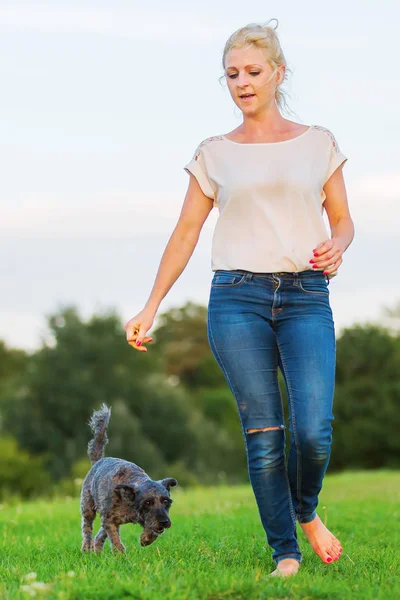 kadın bir çayır üzerinde korkunç melez köpeğiyle oynuyor