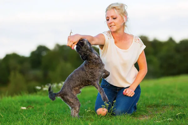 Woman plays with a terrier hybrid outdoors Stock Picture