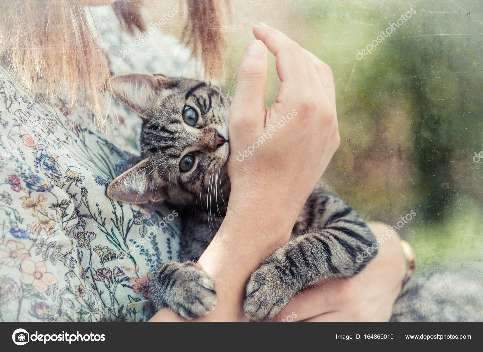 Девочка с котом на руках. Котенок на руках. Котенок на ноге. Кошка мурлычет. Маленький котик сидит на руке.