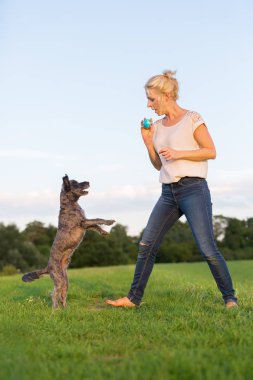 kadın korkunç hibrid açık havada ile çalış