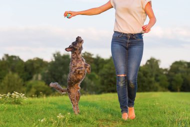 kadın korkunç hibrid açık havada ile çalış