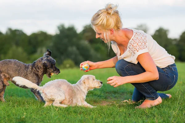 Mujer juega con un terrier híbrido al aire libre — Foto de Stock