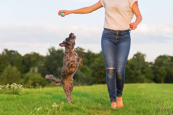 kadın korkunç hibrid açık havada ile çalış