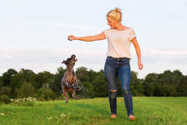 kadın korkunç hibrid açık havada ile çalış