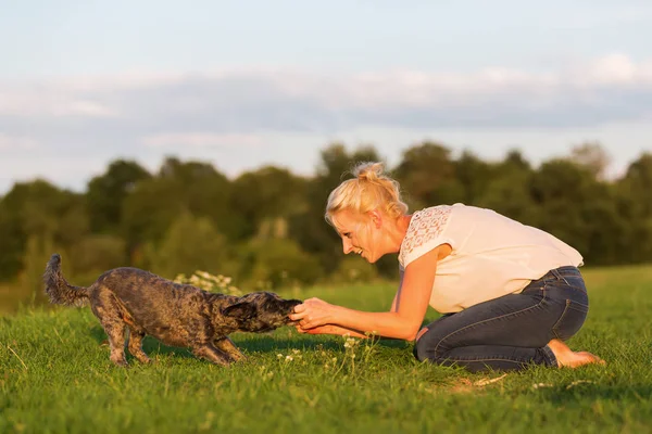 kadın korkunç hibrid açık havada ile çalış