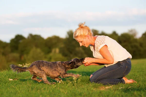Mulher joga com um terrier híbrido ao ar livre — Fotografia de Stock