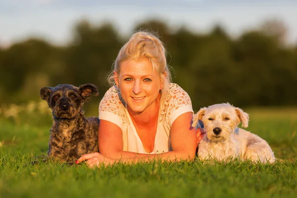Retrato de uma mulher deitada na grama com dois cães pequenos — Fotografia de Stock