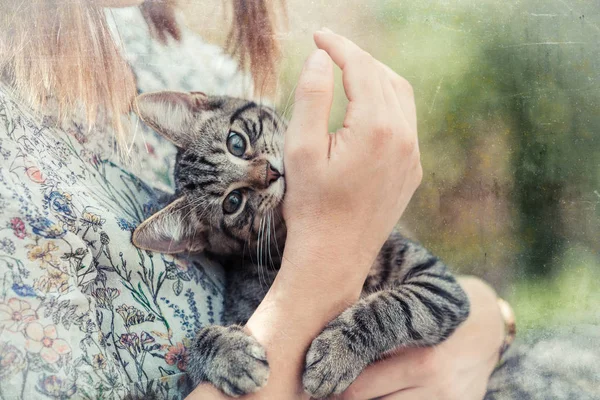 Frau hält ein Kätzchen in den Armen — Stockfoto