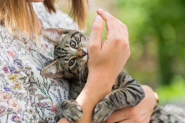 Frau hält ein Kätzchen in den Armen — Stockfoto