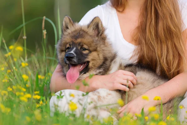 kadın bir elo köpek yavrusu kolundan tutar.
