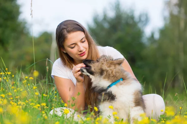 Elo köpek yavrusu ile genç bir kadın portresi — Stok fotoğraf