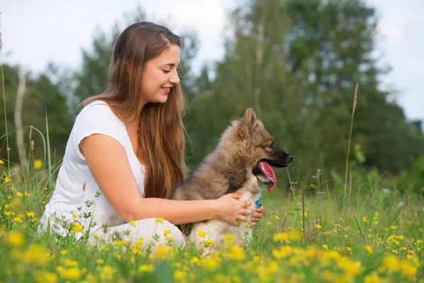 Retrato de uma jovem mulher com um cachorro elo — Fotografia de Stock