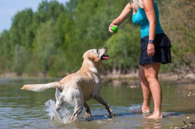 güzel bir kadın ile bir gölde bir labrador köpek çalış