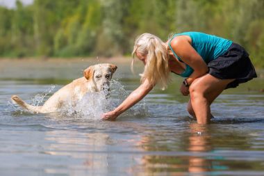 kadın onun labrador retriever gölde bir çalış
