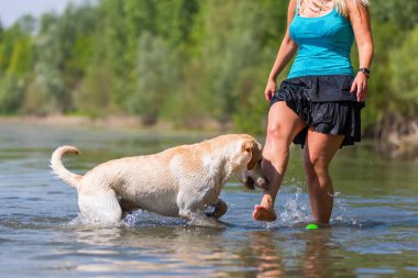 kadın onun labrador retriever gölde bir çalış