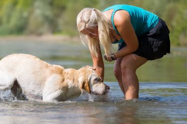 kadın onun labrador retriever gölde bir çalış