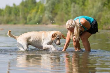 kadın onun labrador retriever gölde bir çalış