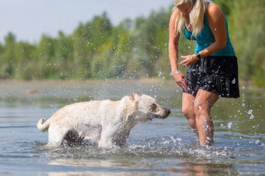 kadın onun labrador retriever gölde bir çalış
