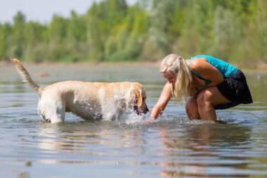 kadın onun labrador retriever gölde bir çalış