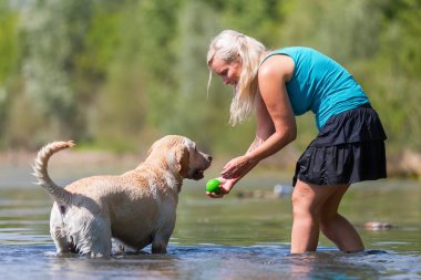 kadın onun labrador retriever gölde bir çalış