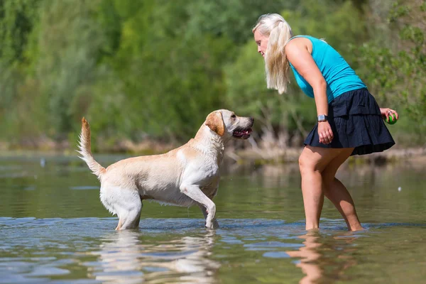 Pretty woman plays with a labrador dog in a lake — Stock Photo, Image