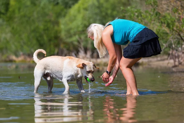 Pretty woman plays with a labrador dog in a lake — Stock Photo, Image