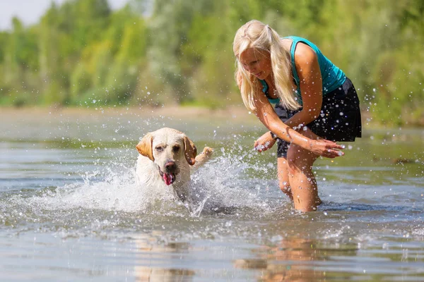 kadın onun labrador retriever gölde bir çalış