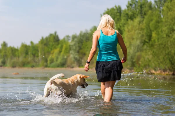 kadın onun labrador retriever gölde bir çalış
