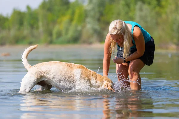 kadın onun labrador retriever gölde bir çalış