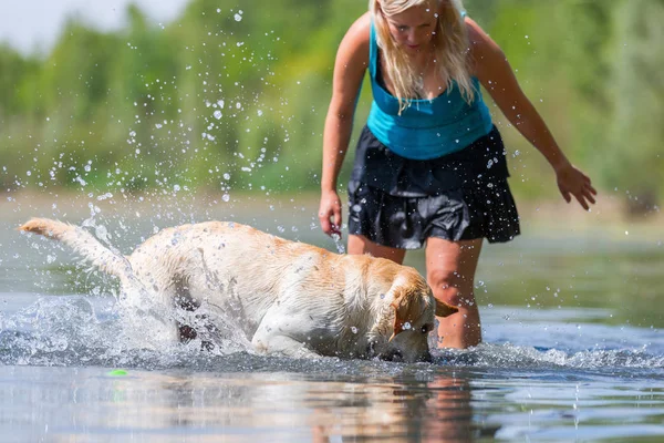 Wanita bermain dengan golden retriever di danau — Stok Foto