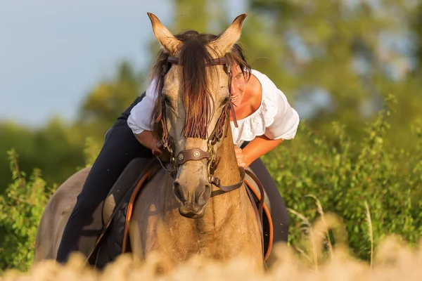 Retrato de uma mulher em um cavalo andaluz — Fotografia de Stock