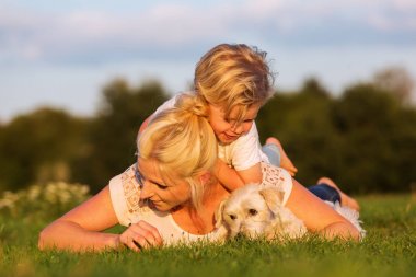 kadın köpek çim ve oğlu ile çalış