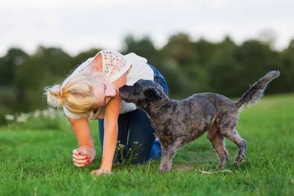 Mujer juega con un perro híbrido terrier en un prado — Foto de Stock
