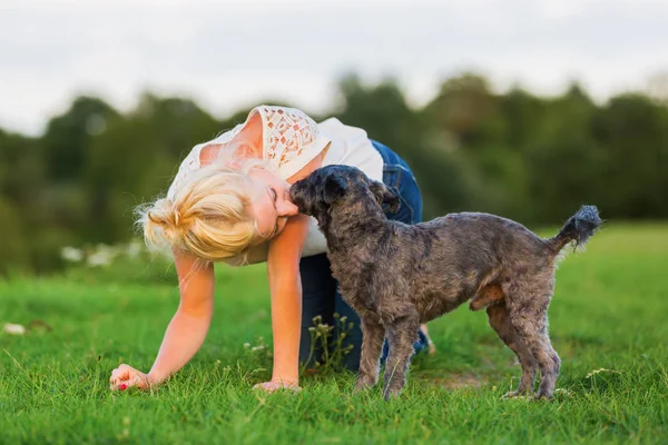 Donna gioca con un cane ibrido terrier su un prato — Foto Stock