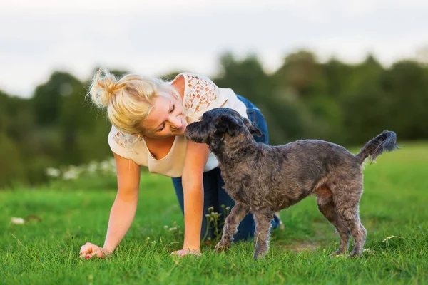 Mujer juega con un perro híbrido terrier en un prado — Foto de Stock