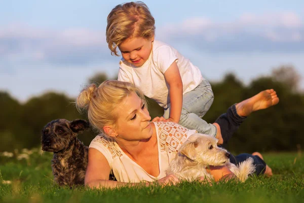kadın köpek çim ve oğlu ile çalış