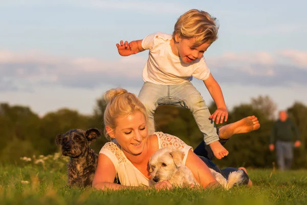 kadın köpek çim ve oğlu ile çalış
