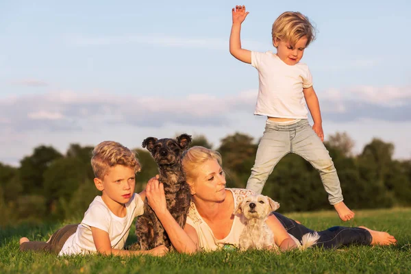 Mulher brinca com seus filhos e cães na grama — Fotografia de Stock