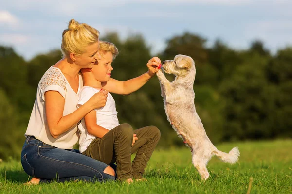 Anne ile oğlu küçük bir köpekle oynamayı