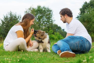 elo köpek yavrusu ile genç bir çift portresi