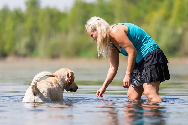 kadın bir gölde bir golden retriever çalış