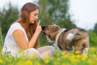 genç kadın bir Elo köpek çim ile oturur