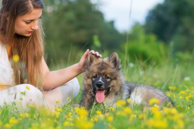 genç kadın bir Elo köpek çim ile oturur