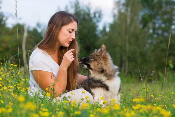 genç kadın bir Elo köpek çim ile oturur