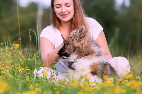 Junge Frau sitzt mit einem elo Welpen im Gras — Stockfoto